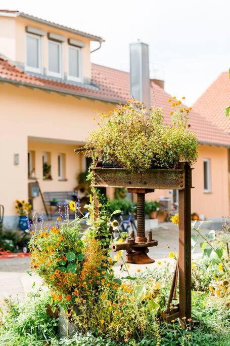 Ferienhof Obertor Kirchberg an der Murr Ngoại thất bức ảnh